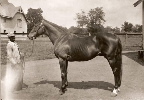 Belle Meade Plantation and History of Nashville Horse Breeding